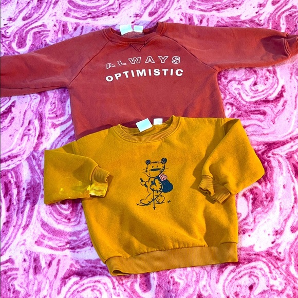 Zara Toddler Boys BUNDLE OF 2 Zara Graphic Sweatshirts Size 2-3 - Picture 1 of 4